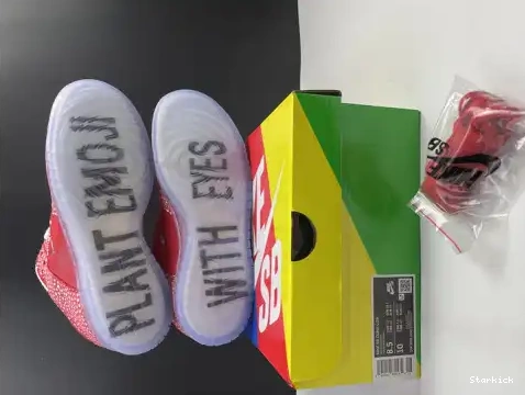DH7650-600 - Dunk Mushroom Magic Stingwater SB Low Nike 0702
